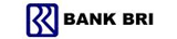 Logo bri
